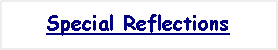 Text Box: Special Reflections